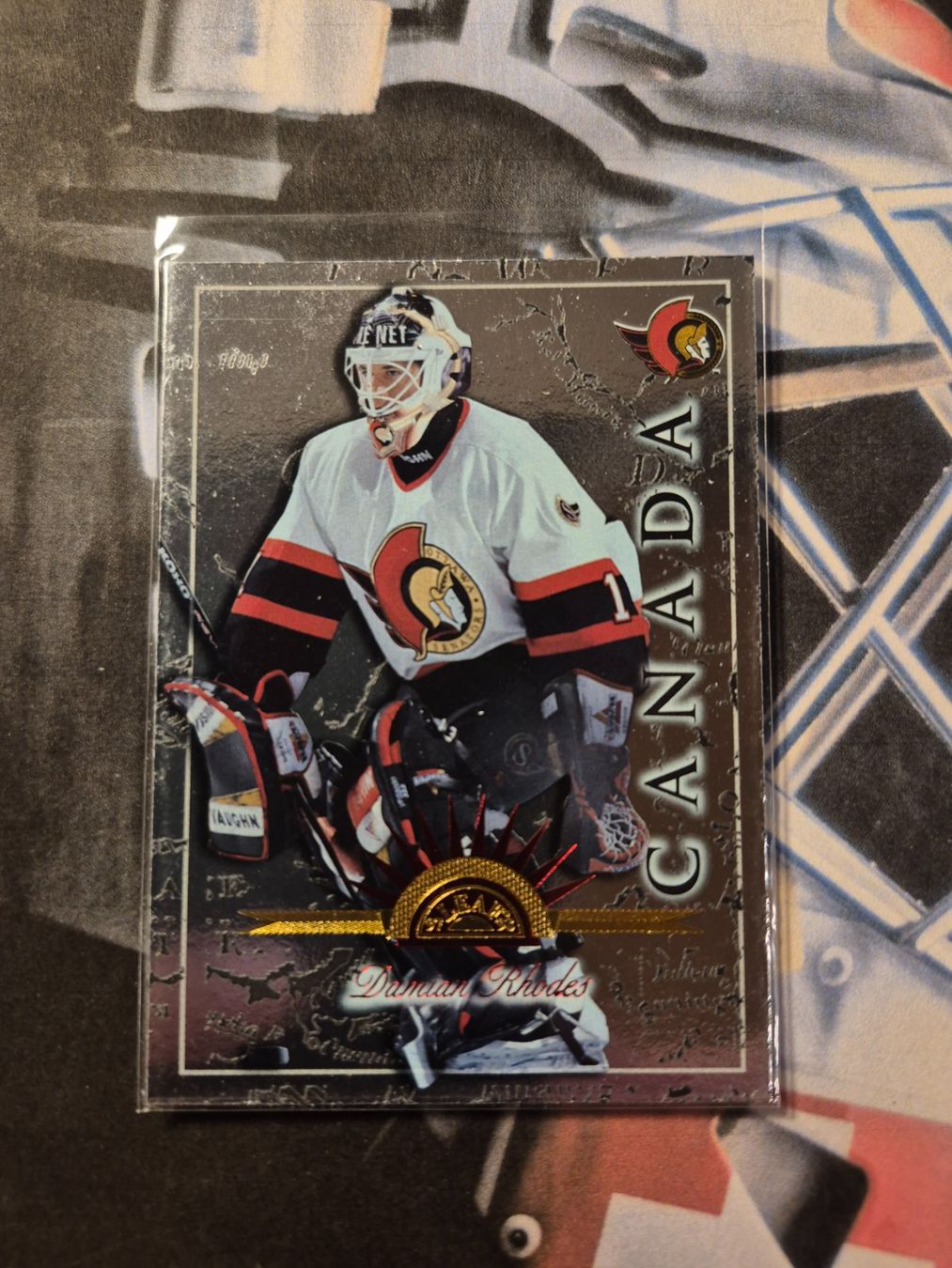 NHL Carte collezionabili: NHL Damian Rhodes Ottawa Senators – Usato da Treiten venduto da Sauber73