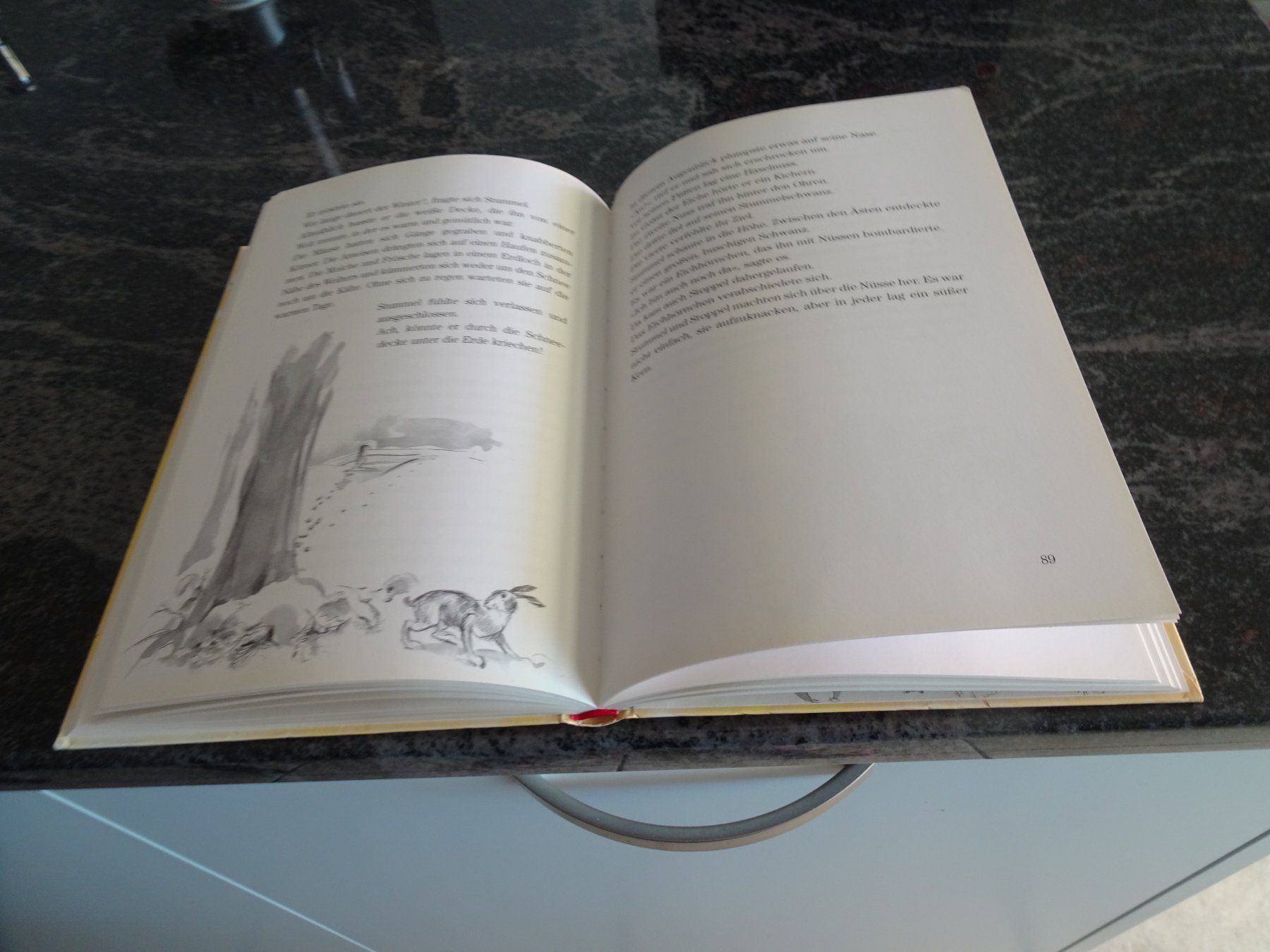Libri: Buch Stummel Ein Hasenkind wird gross Max Bolliger 1999  JUL – Usato da Zürich venduto da Roulet 7