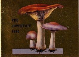 Markenheft Pro Juventute  1994 ungestempelt