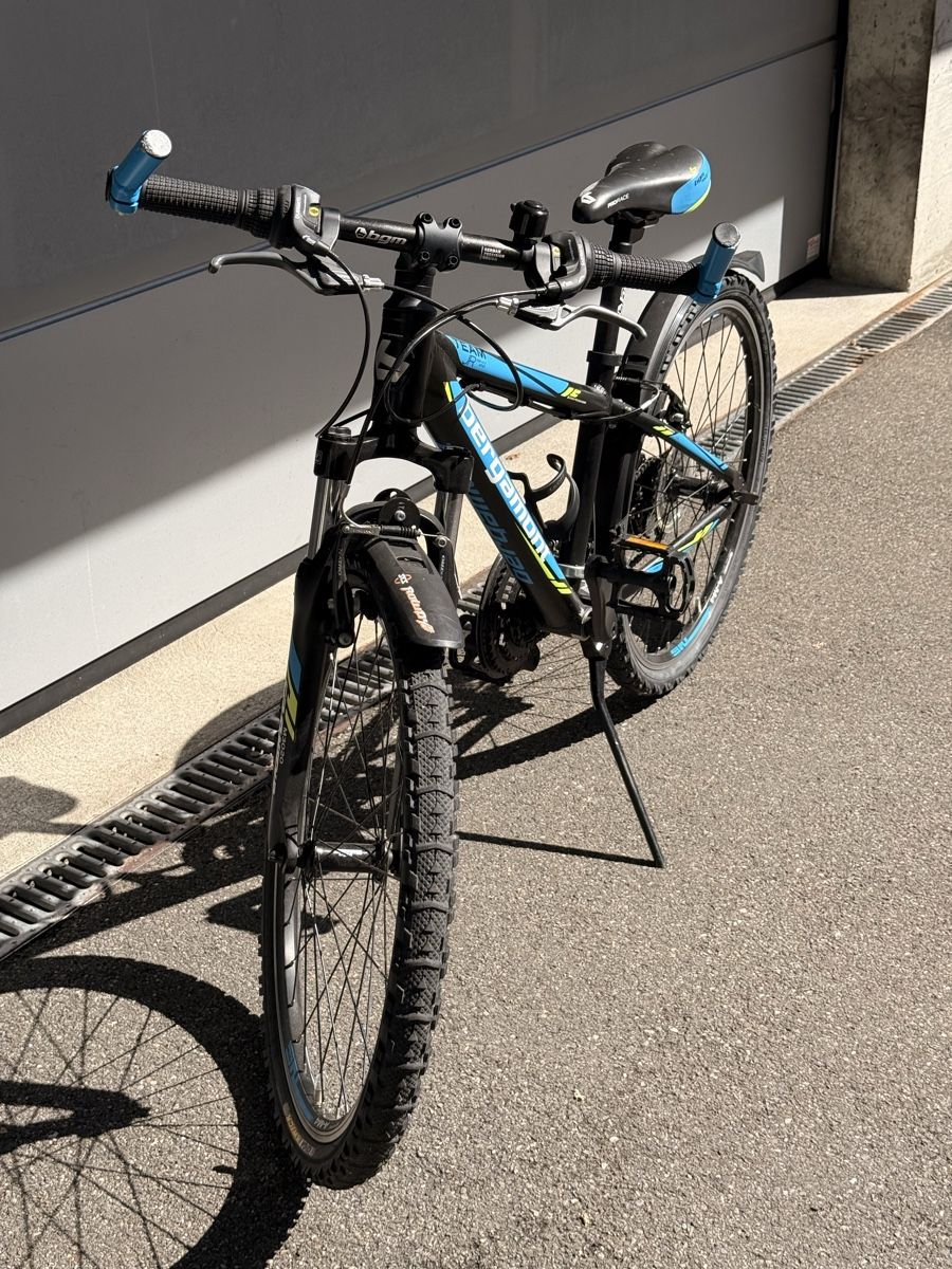 Bergamont Biciclette: Bergamont Mountain Bike – Usato da Erlenbach ZH venduto da Benio407 5