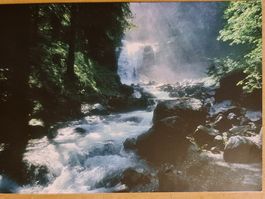 Grusskarte Bach Wald