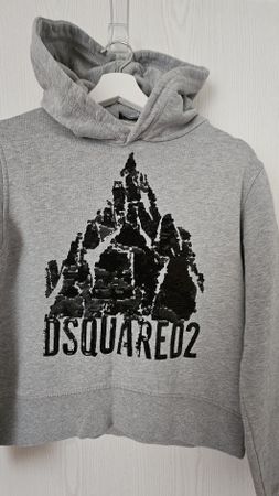 Grauer Dsquared2 Hoodie mit Bergmotiv Gr. 14Y Top Zustand! 