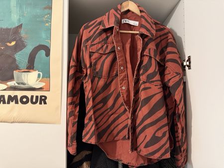 Jacke Hemdjacke ZARA
