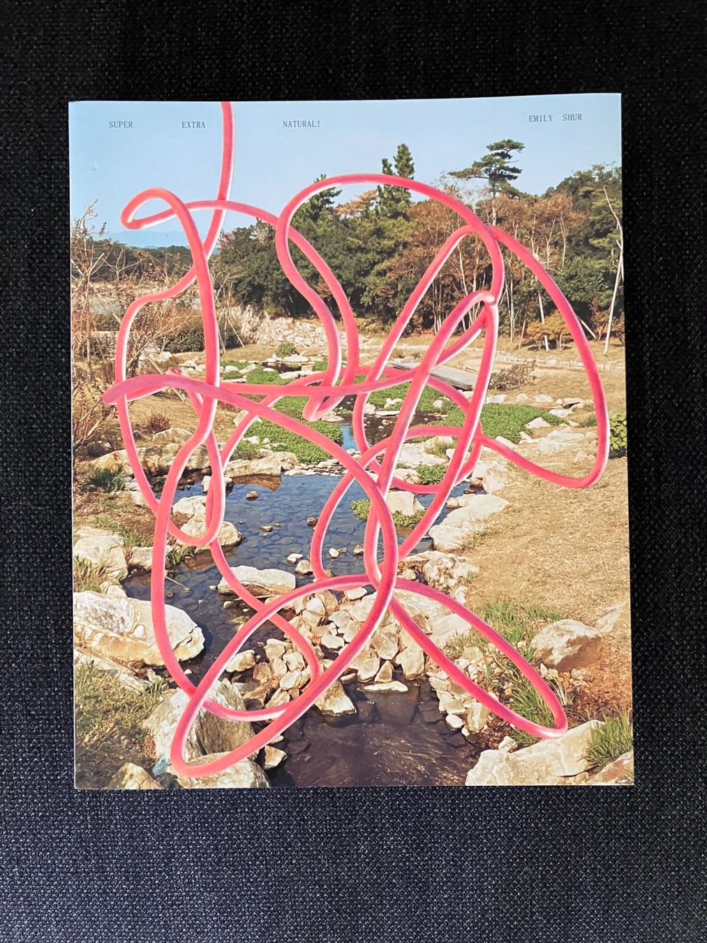 Libri: Emily Shur - Super Extra Natural – Nuovo (secondo la descrizione) da Adliswil venduto da lauryyrual