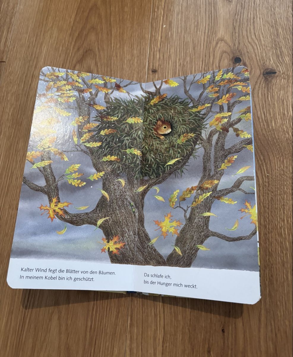 Libri: "Ich bin das kleine Eichhörnchen" - Ravensburger Buch – Usato da Jegenstorf venduto da Annina0506 5