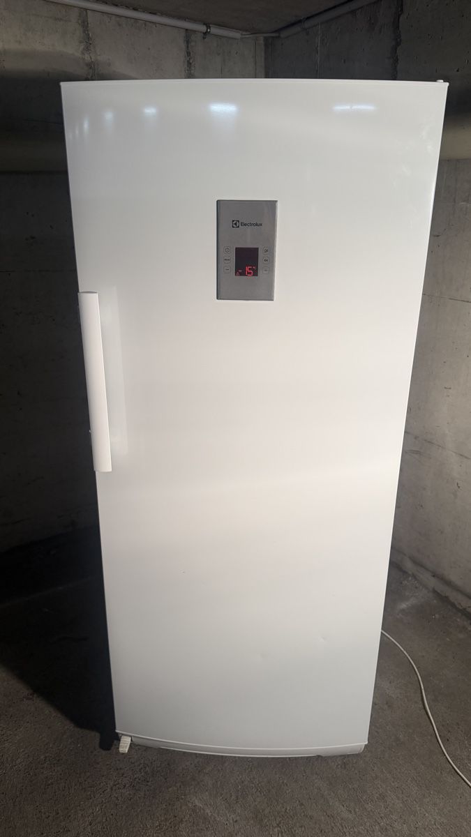 Congelatori: Gefrierschrank Electrolux – Usato da Kreuzlingen venduto da Bek_10 1