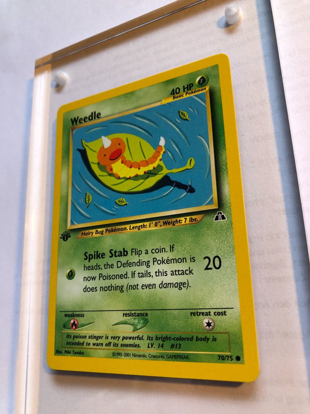 Carte collezionabili: Weedle 1st Neo Discovery - MINT - ab 1.- – Usato da Giubiasco venduto da dan_pr8b 2