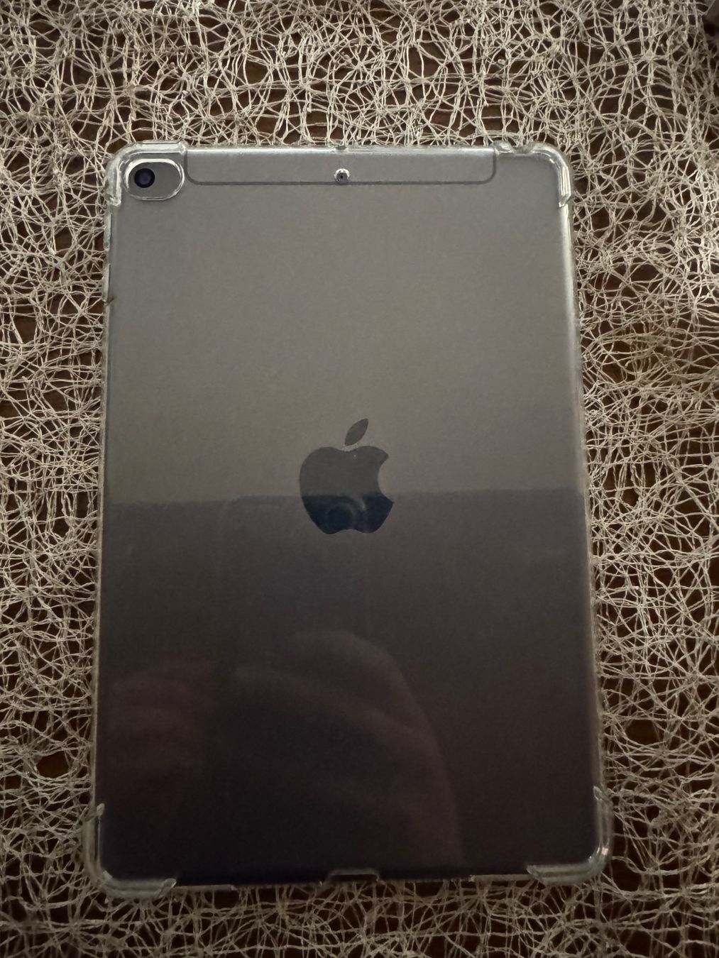 Apple Tablet PC: iPad mini 5 256gb+sim – Usato da Visp venduto da leo_ng7b 3