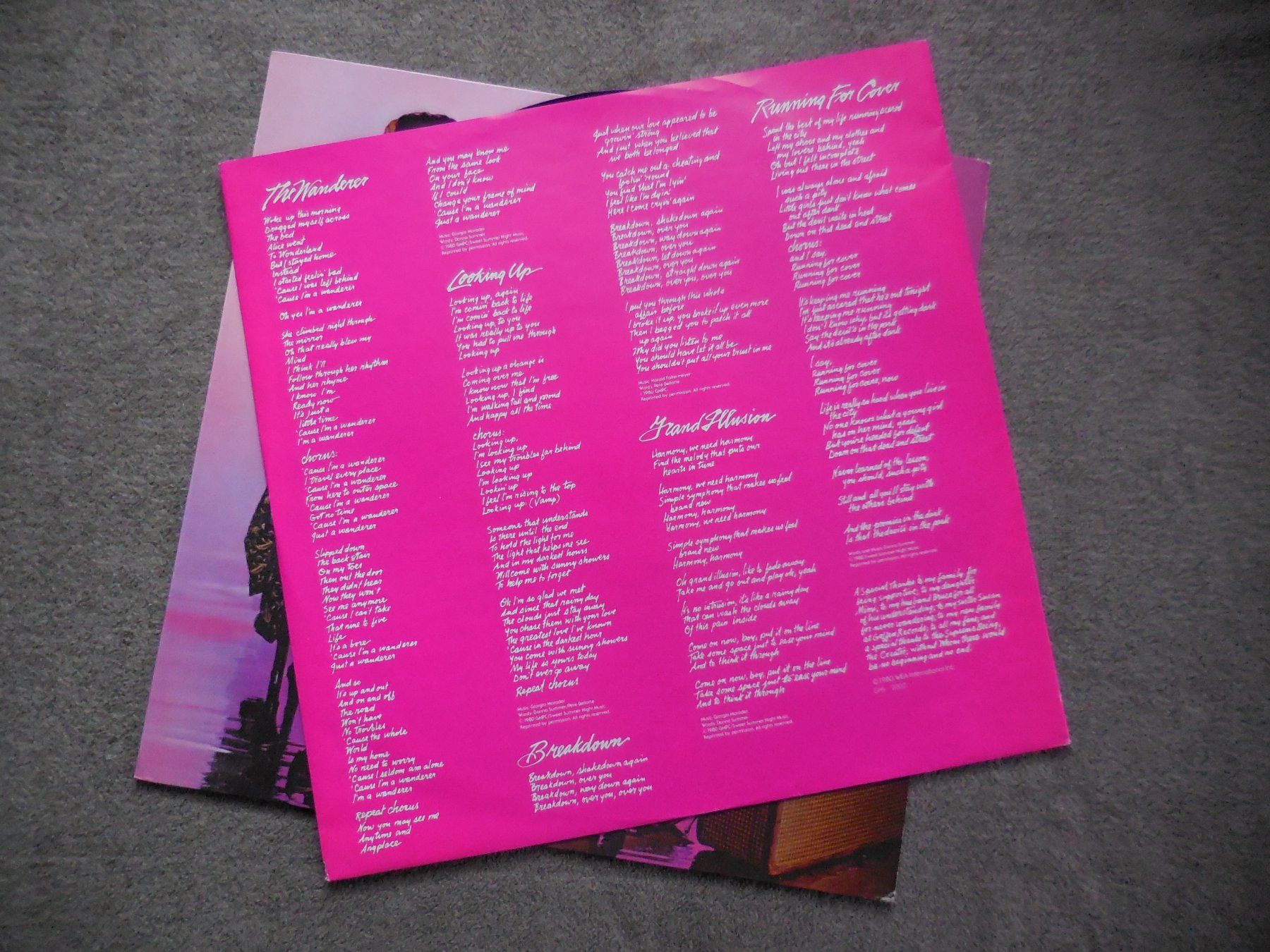 Dischi in vinile: LP (Donna Summer) The Wanderer – Usato da Meyrin venduto da toutatis 2