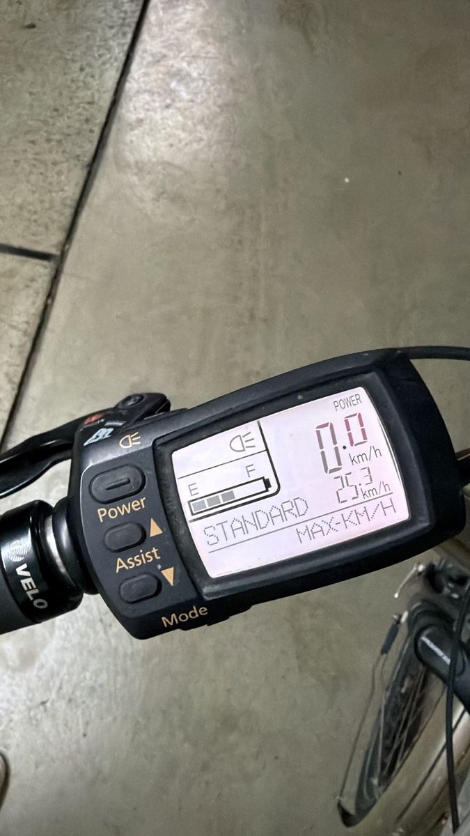 Flyer Biciclette: E-Bike Flyer 3600km / Grösse M – Usato da Schlieren venduto da Dave5699 6