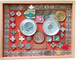 Medaillen Sport Sammlung inkl. Vitrine