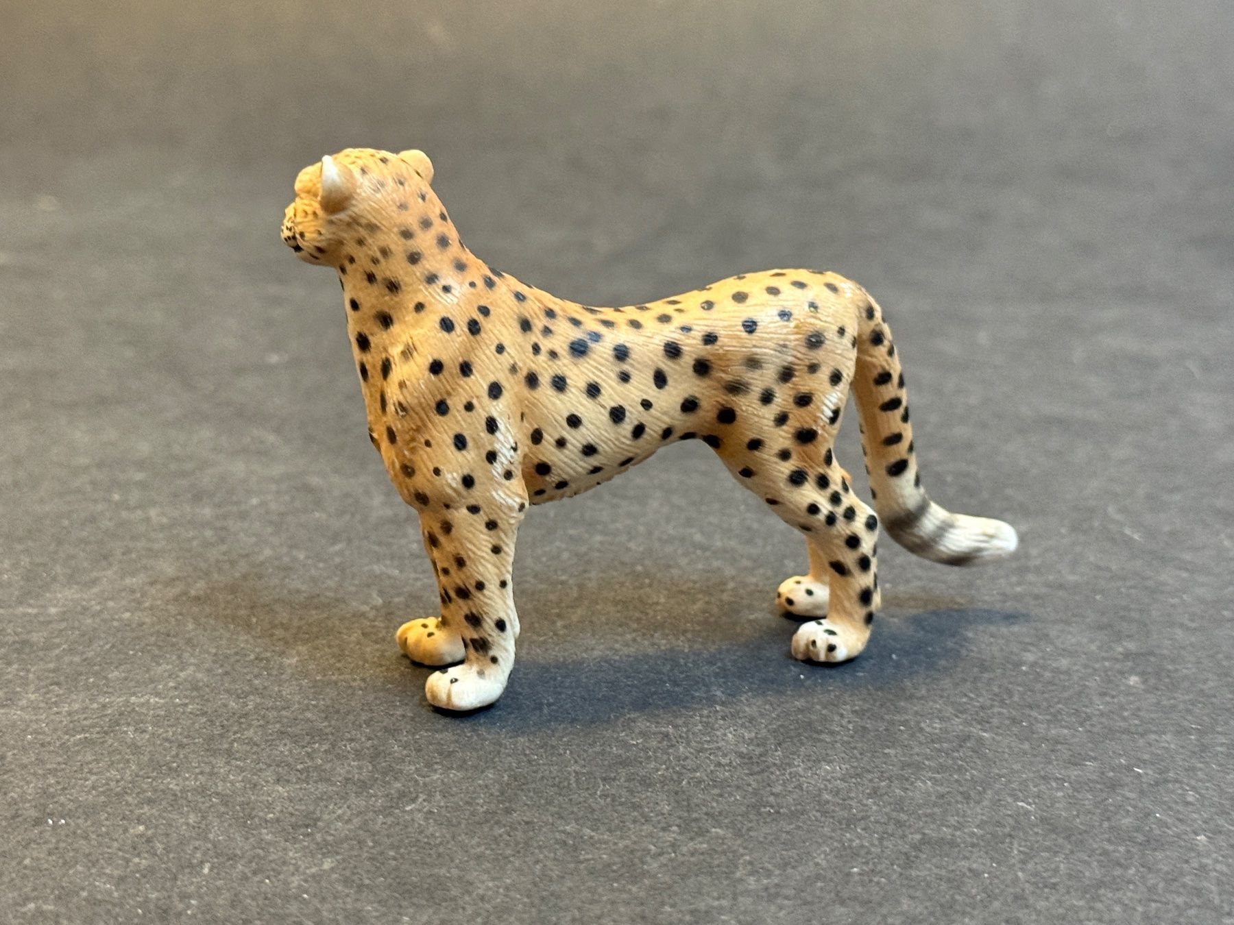 Schleich Figurines: Schleich Gepard 14143 – D'occasion à Ennetbaden par mapa05 2