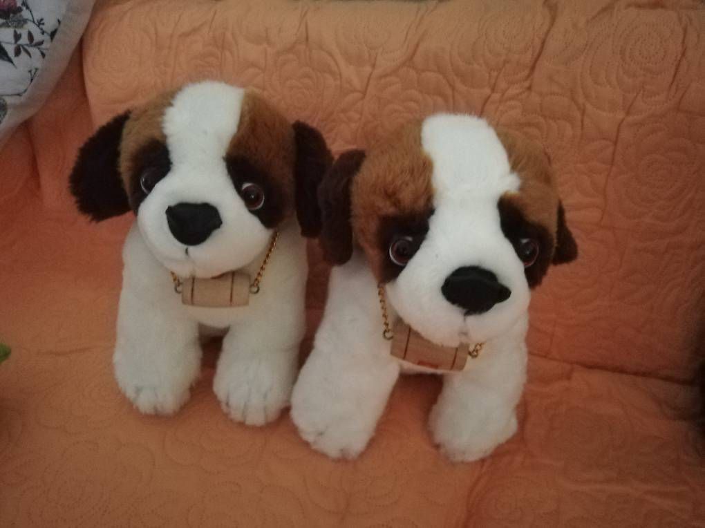Spielzeuge: Peluches – Neu und originalverpackt aus La Sagne VD von bri_d6b5 2