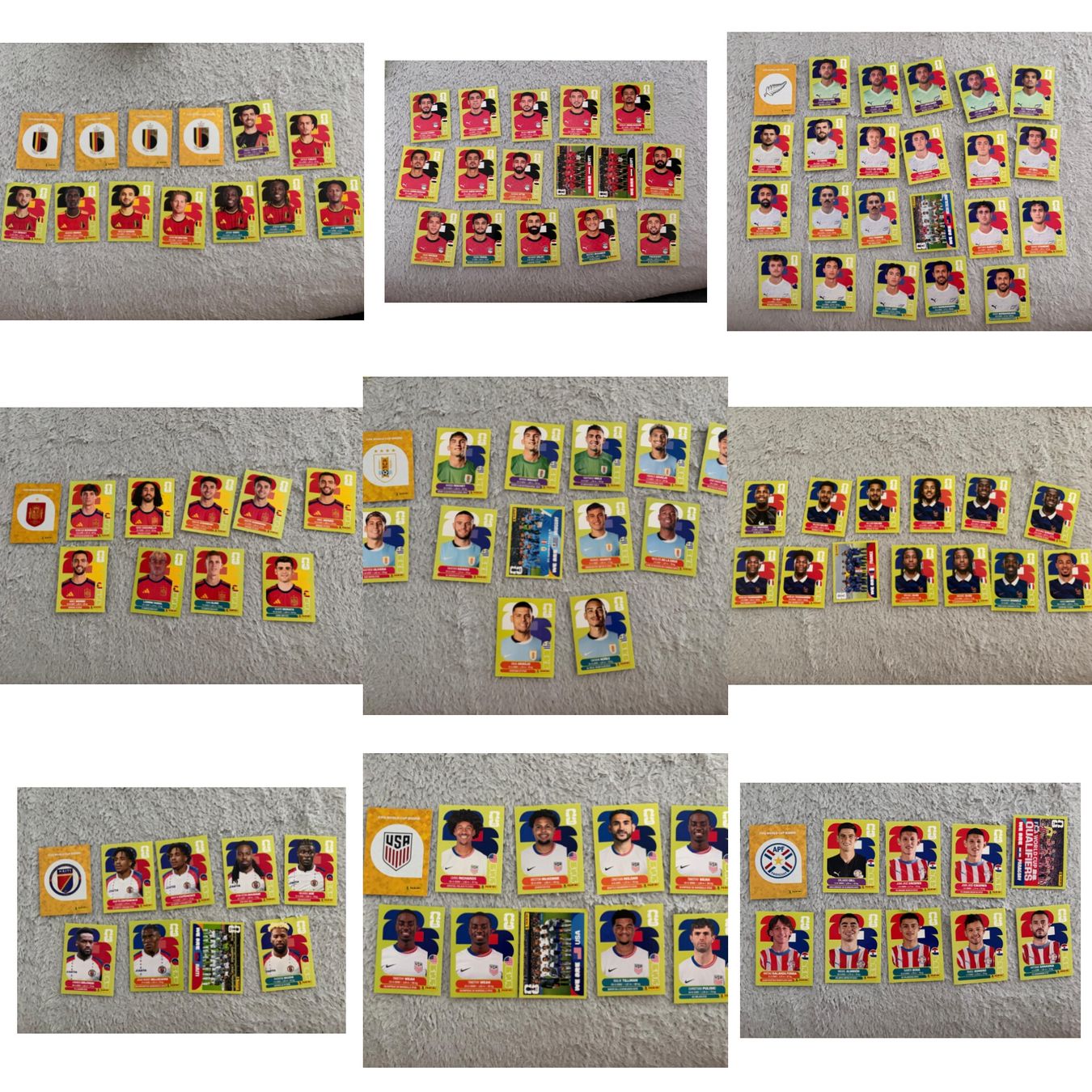Panini Carte collezionabili: Panini Sticker WM 2026 – Nuovo (secondo la descrizione) da Herzogenbuchsee venduto da sau_ht7r