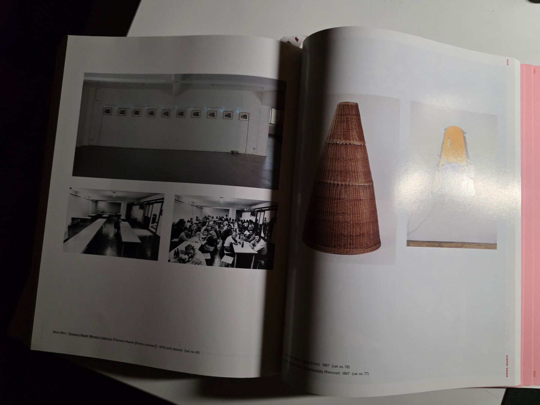 Libri: Zero to Infinity : Arte Povera 1962-1972 - 2001 USA – Usato da Walterswil BE venduto da Lonitti 7