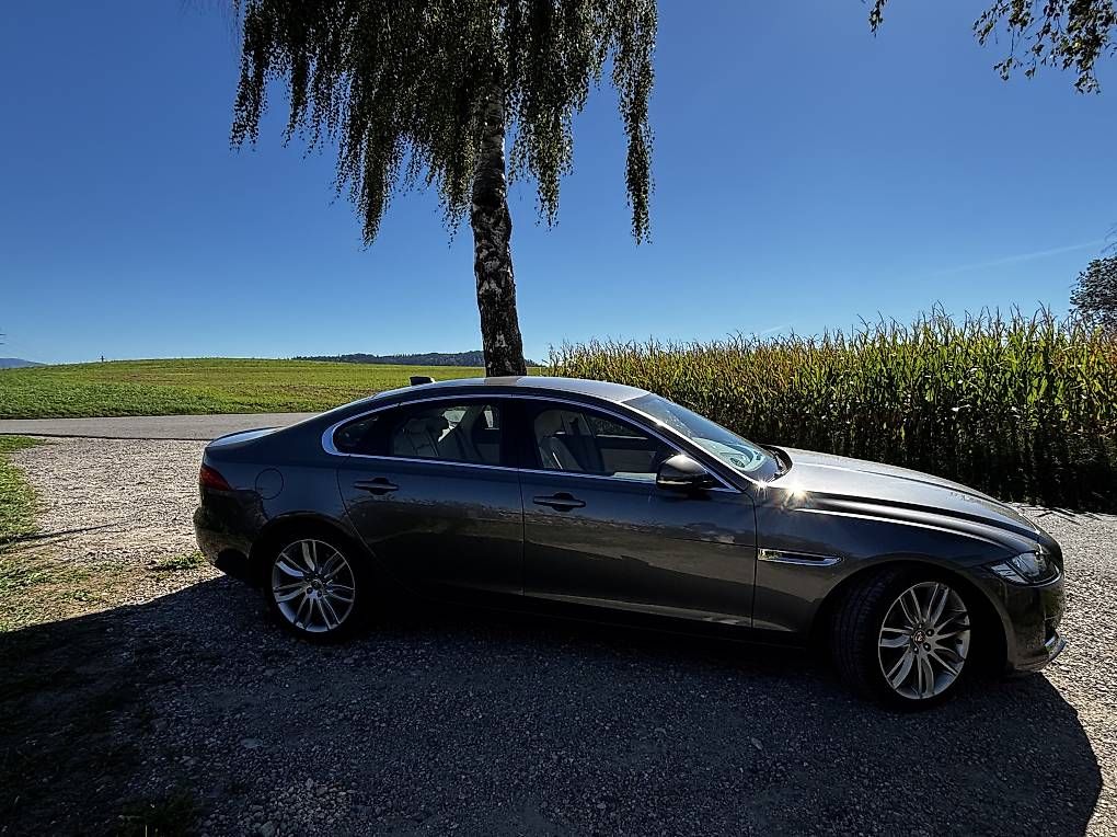 Automobili: Jaguar XF Prestige – Usato da Oberkirch LU venduto da Roenzki01 2