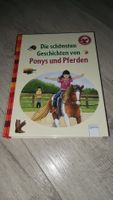 Pferdebuch: Die schönsten Geschichten von Ponys