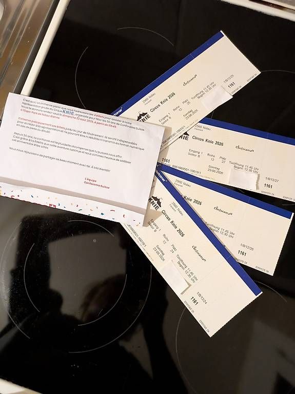 Biglietti: 4 billets pour la représentation privée du Cirque KNIE – Usato da Lausanne venduto da Mulder01