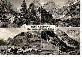 Surenental - Engelberg