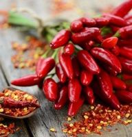 Ab 5.- fr 20 SAMEN PAPRIKA CHILI SCHARF PIMENT PEPERONCINO