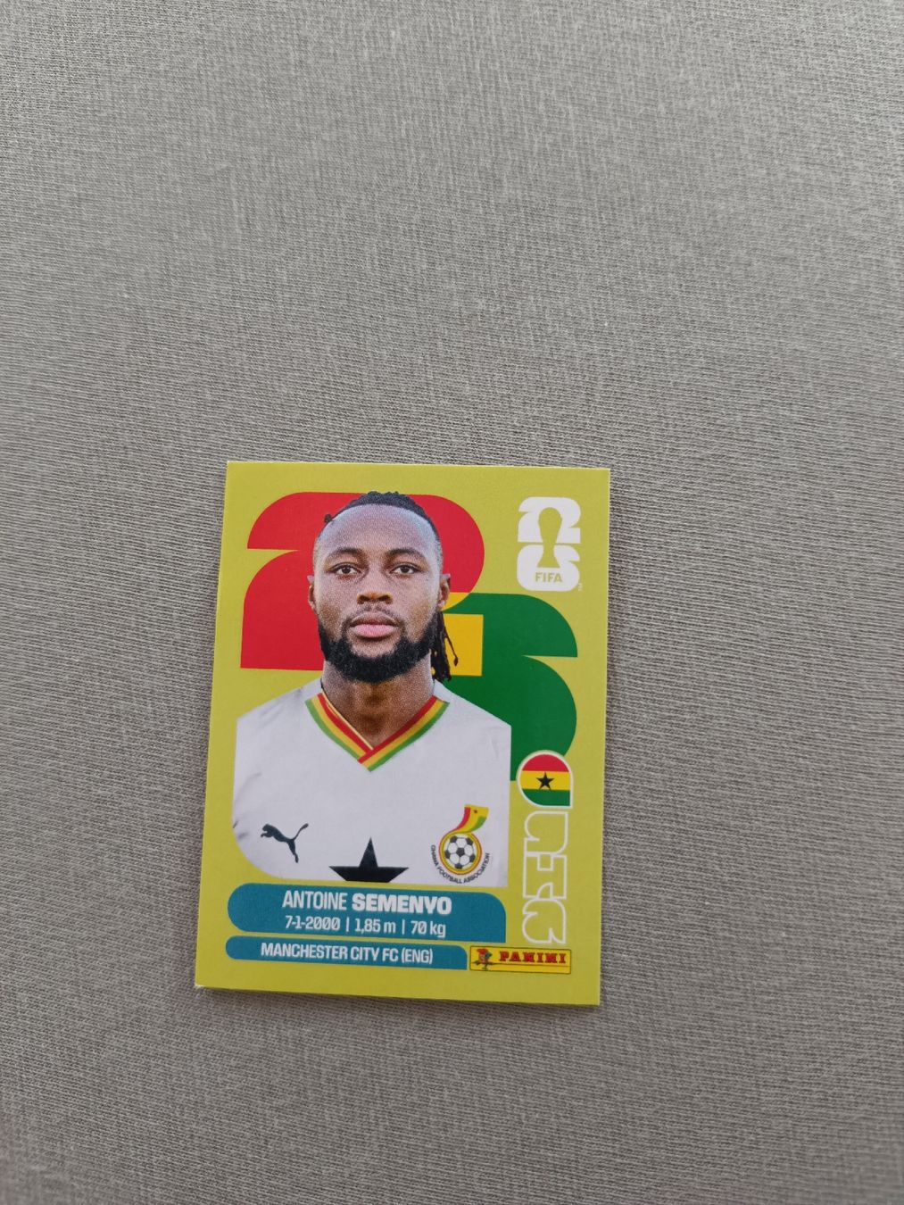 Panini Cartes à collectionner: Panini GHA20 – Neuf avec emballage d'origine à Muri AG par Puschelknuffel