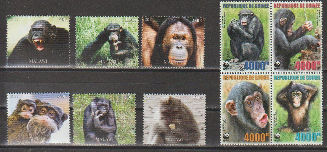 Tutti i francobolli: Timbres Malawi Guinée Singes 2011 – Nuovo e nell'imballaggio originale da Crans-Montana venduto da kira56