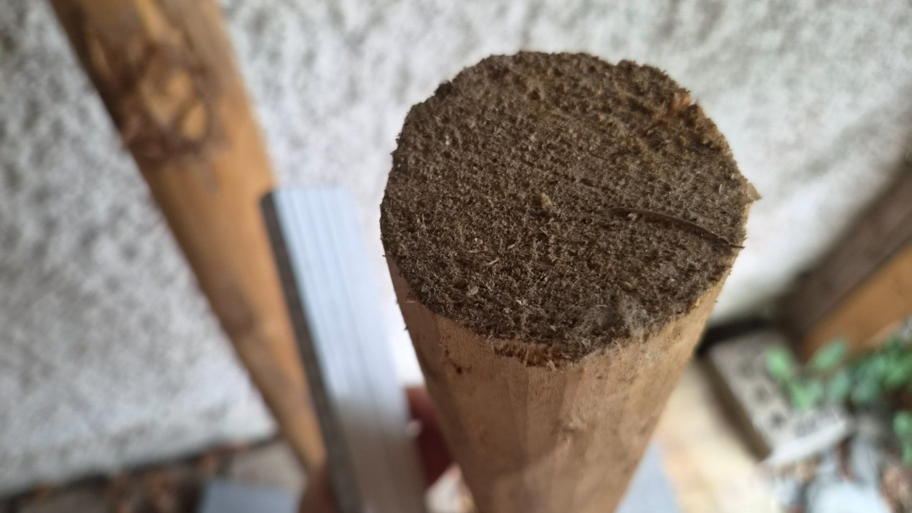 Articoli in legno: Holzpfahl – Usato da Bischofszell venduto da -fr-5 1