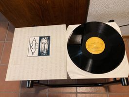 Area - The Perfect Dream
