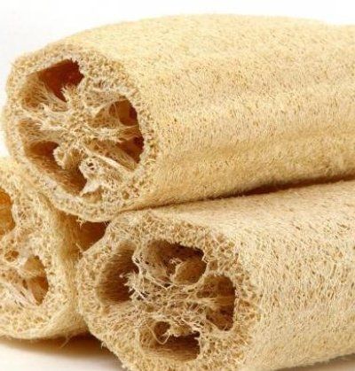 Plantes & graines: 5 samen von LUFFA CYLINDRICA oder Gurke - Waschlappen.🌱 5 g – Neuf avec emballage d'origine à Rovio par POSITIFFARTandPLANTS 3