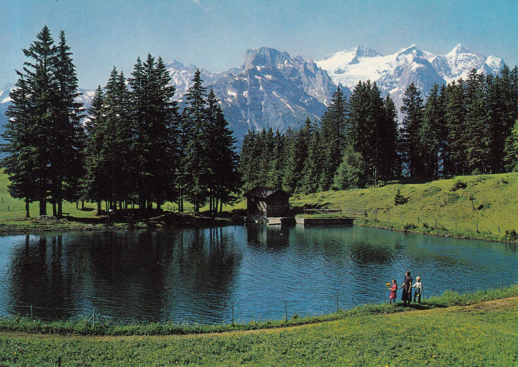 Cartoline postali: Bidmiseeli ca. 1970 – Usato da Bürglen TG venduto da StampGraf