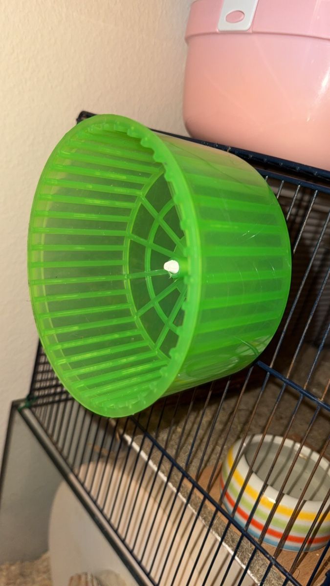 Cages, transport & sécurité: Hamster Laufrad – D'occasion à Bern par pat_g5v7