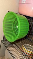 Hamster Laufrad