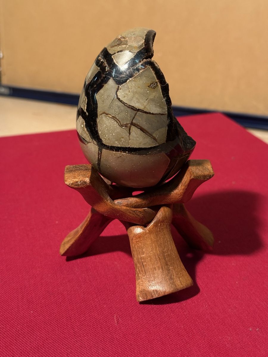 Tutte le decorazioni: Septarian Stone Egg Display - Unique Home Decor Piece – Usato da Lausanne venduto da artnouveau04 2