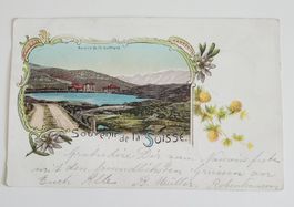 AK Hospice de St. Gotthard Souvenir Suisse Stempel Bäretswil