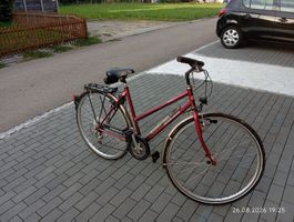 Damen Fahrrad 