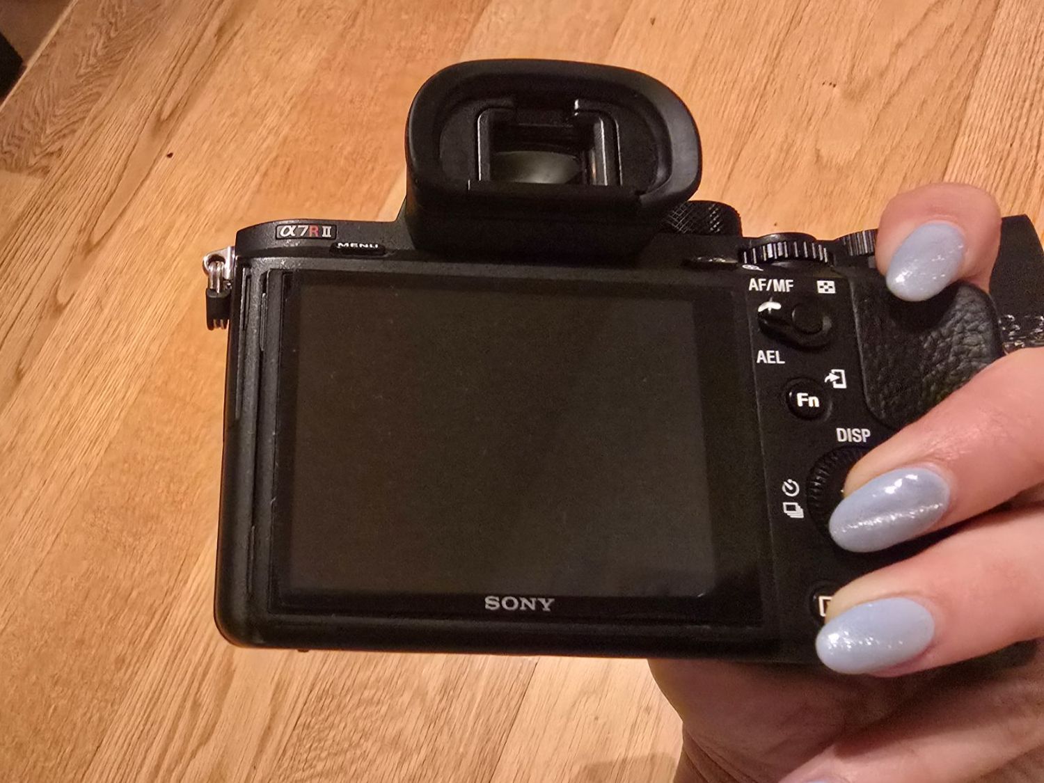 Sony Fotocamera: Sony Kamera A7RII – Usato da Sargans venduto da Kiness 3