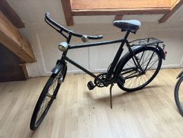 Velo Standard Jaguar