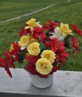 Dekorative Kunstblumen  Frühlingsgefühle!