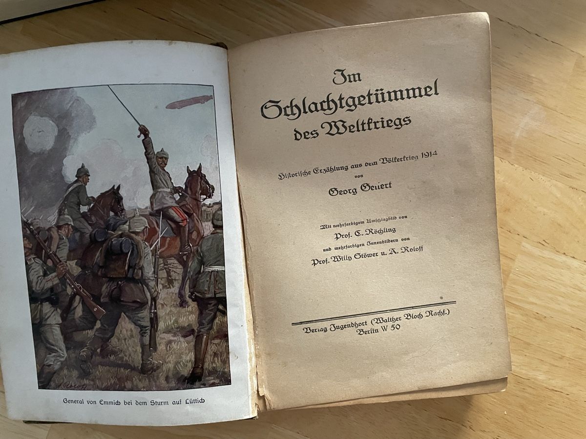 Libri: Der 1 Weltkrieg – Usato da Allschwil venduto da Binggi1968 2