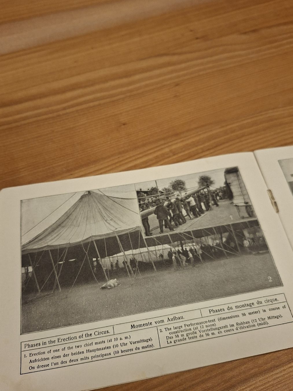 Documenti: Prospekt Cirkus Krone früher Charles 1901 – Usato da Ganterschwil venduto da HeidiuPeter 8