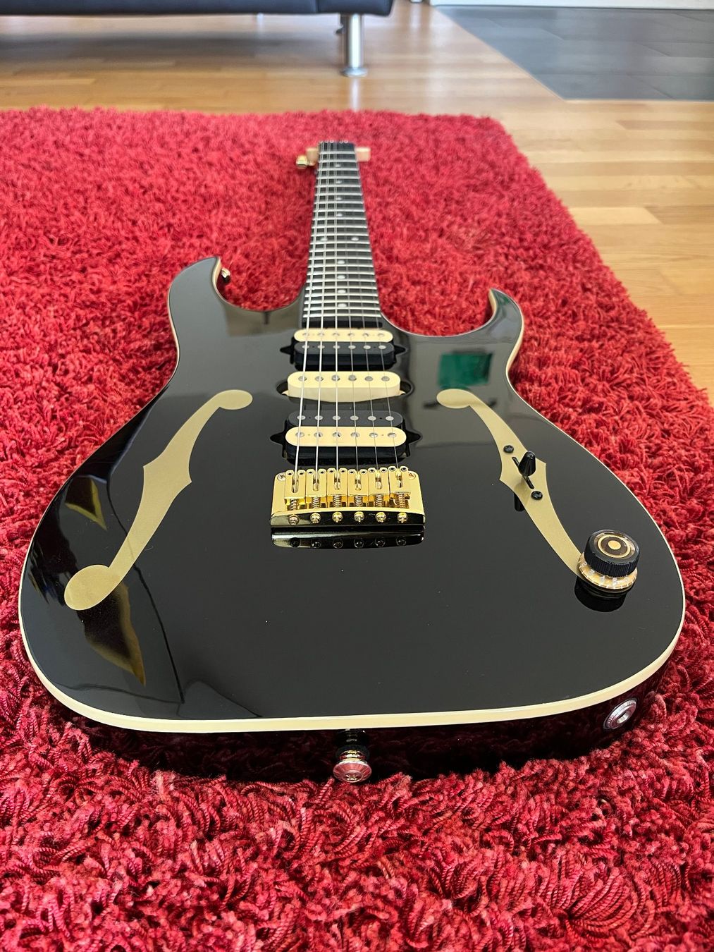 Ibanez Strumenti musicali: Ibanez PGM50 – Usato da Windisch venduto da Daredevil7
