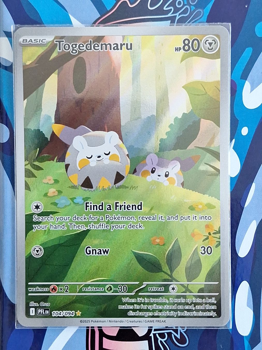 Pokémon Carte collezionabili: Togedemaru - Phantasmal Flames - #14 – Usato da Altstätten SG venduto da GGsGameshop