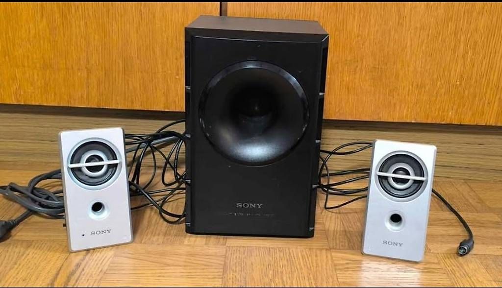 Casse acustiche: Sony SRS-D21 Lautsprechersystem mit Subwoofer – Usato da Gams venduto da MissTraveller