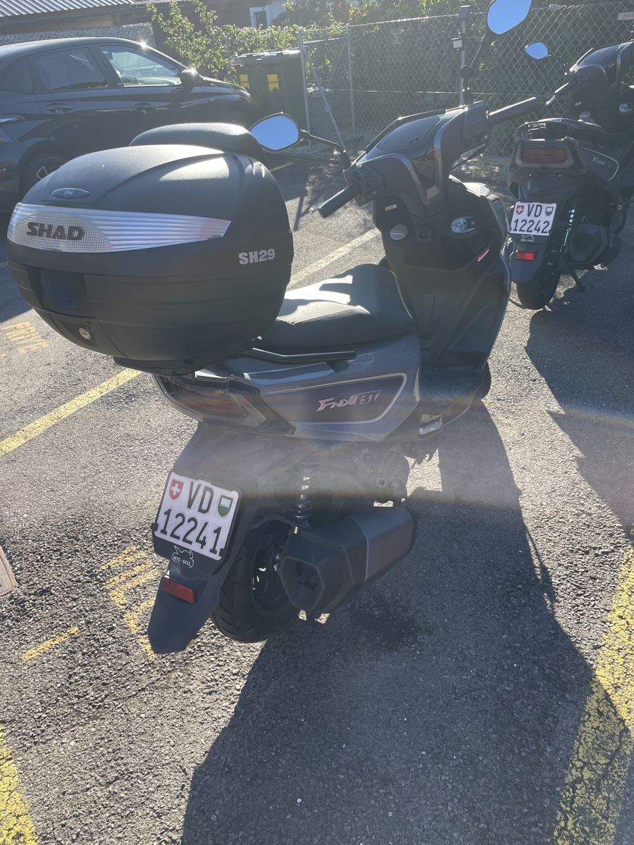 Sym Scooter: Sym FNX 125 avec 2000km – Usato da Etoy venduto da Clolou 1