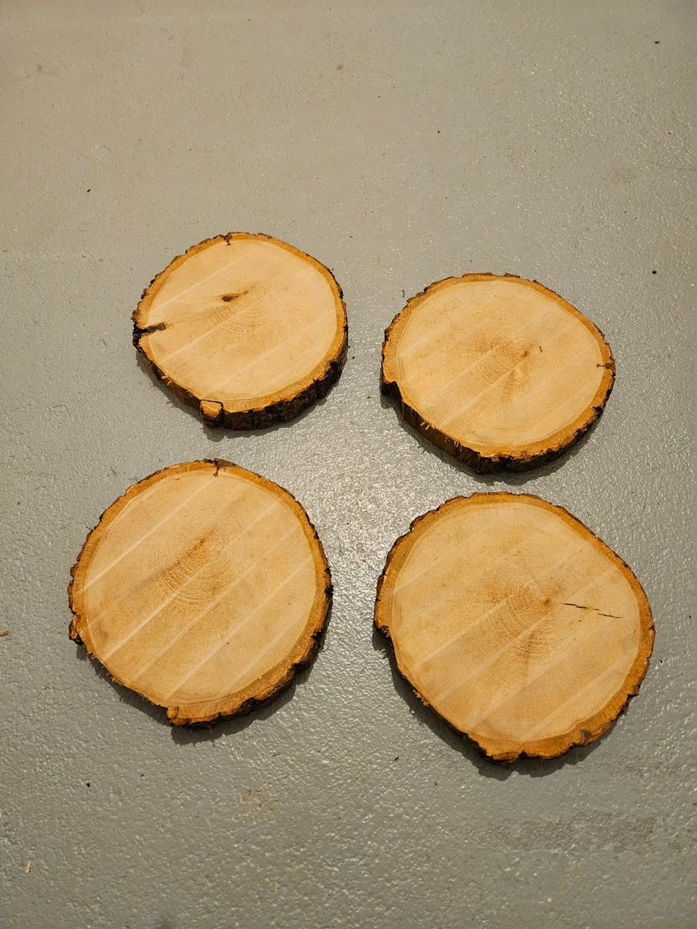 Articoli in legno: Rundholzscheiben/Baumscheiben – Nuovo (secondo la descrizione) da Brunnen venduto da kent03 1