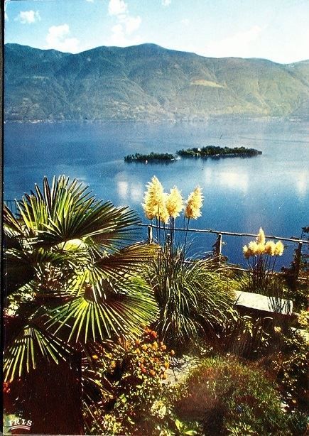 Ansichtskarten: RONCO s/Ascona – Gebraucht aus Jona von philajona