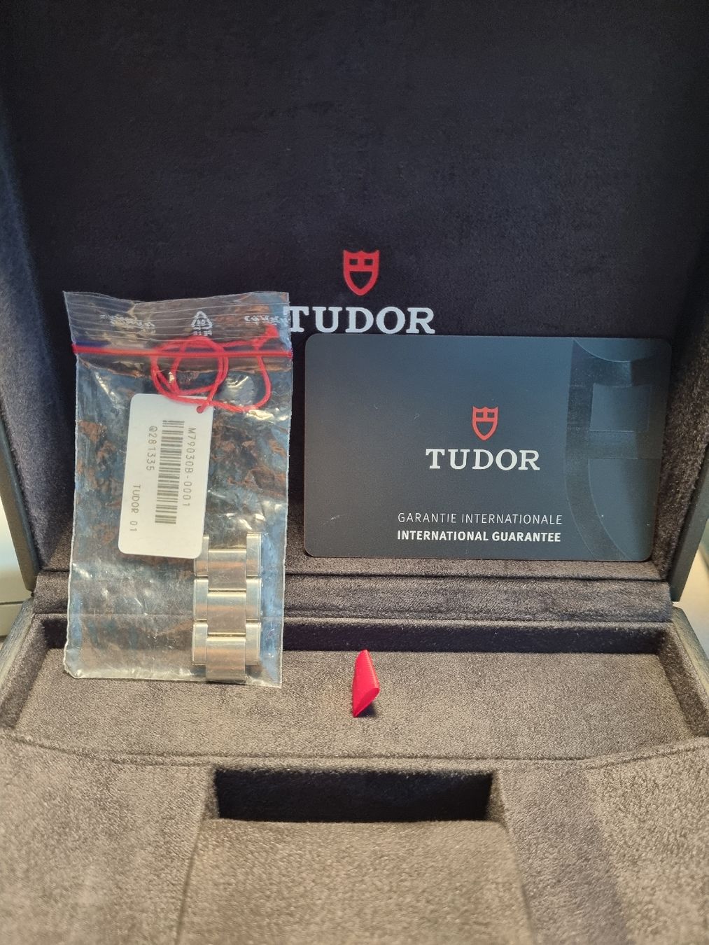 Tudor Orologi: Tudor black Bay Bleue – Usato da CHAMBESY venduto da HDS_Geneve 1