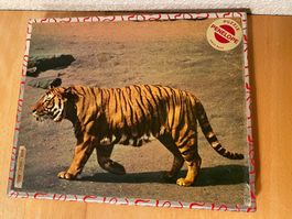 Penelope Baby Holzpuzzle 40 Teile Tiger