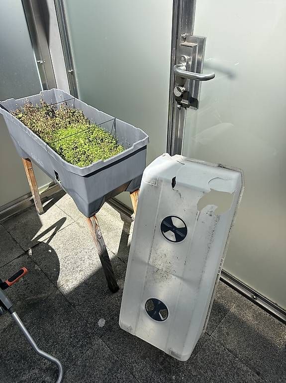 Vasi per fiori: Gusta Garden Sammy Salad Hochbeet zu verschenken – Usato da Zug venduto da dhe_8lxn 1