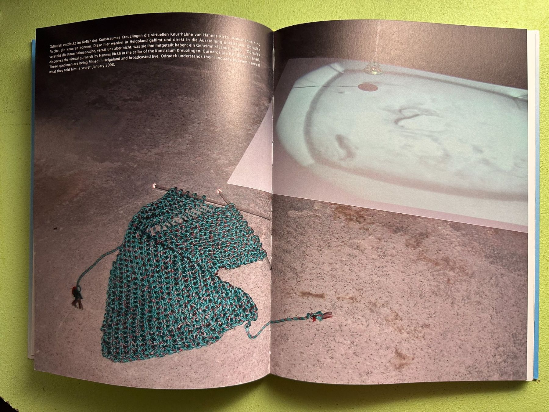 Libri: Lisa Schiess: Odradek oder Die Laufmasche im System. d/e – Usato da Zürich venduto da allp 4